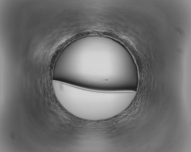 X0000113311159200909141000