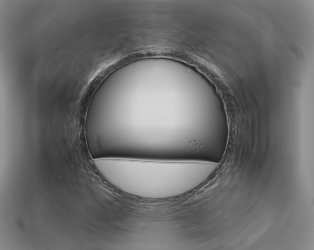 X0000113311160200909141000