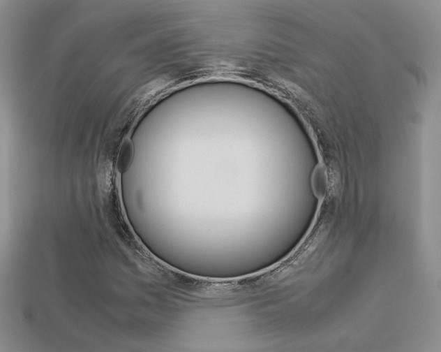 X0000113311161200909141000