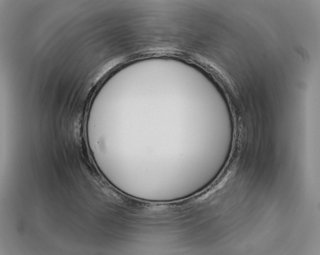 X0000113311162200909141000