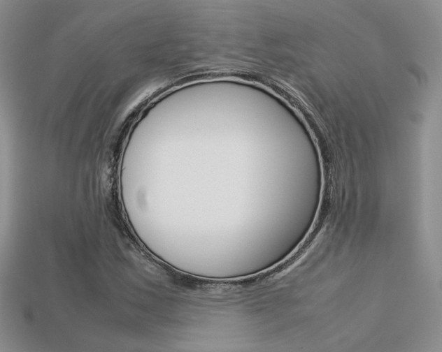 X0000113311163200909141000