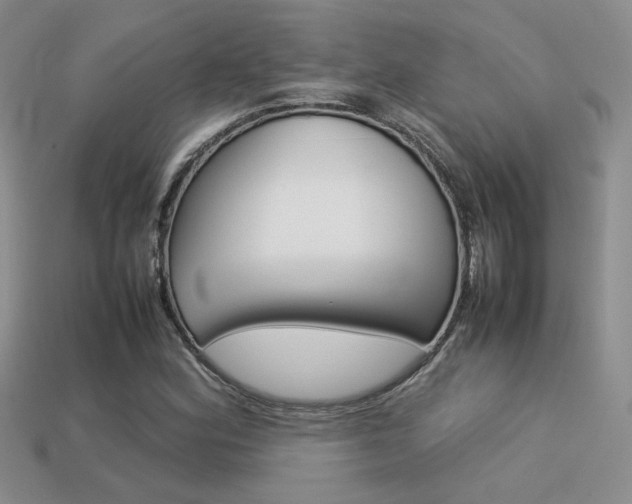 X0000113311164200909141000