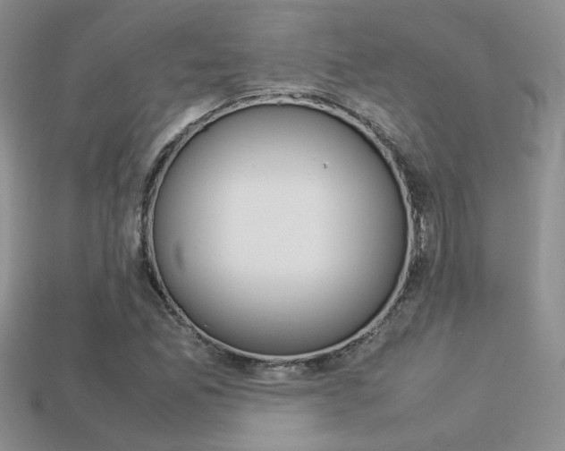 X0000113311165200909141000