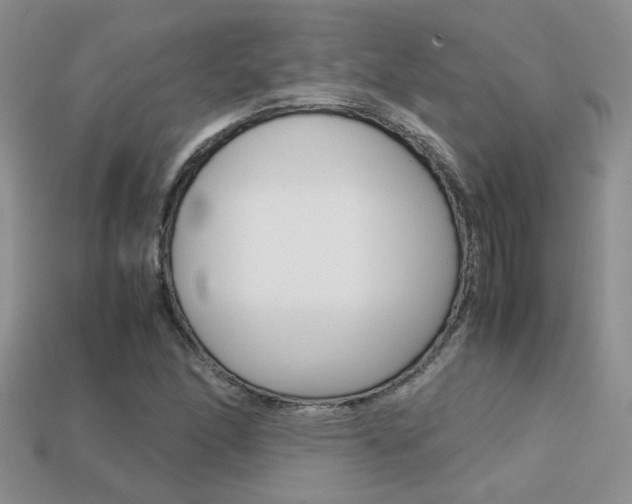 X0000113311166200909141000
