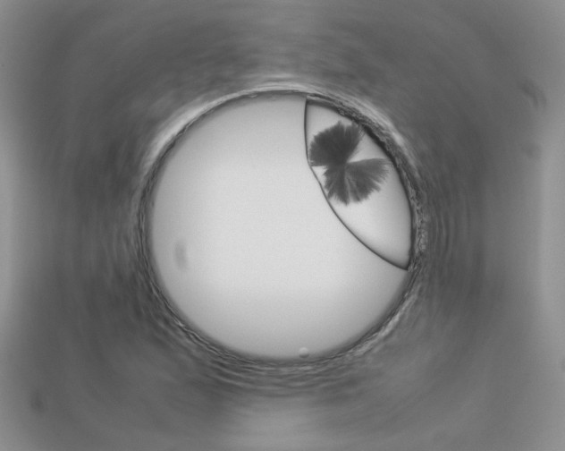X0000113311167200909141000