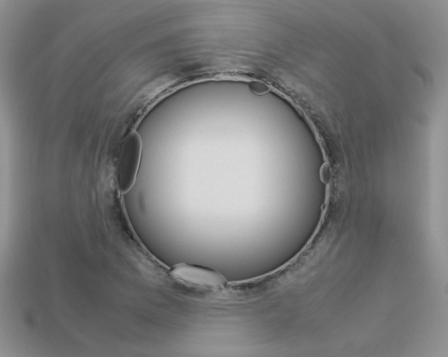 X0000113311169200909141000