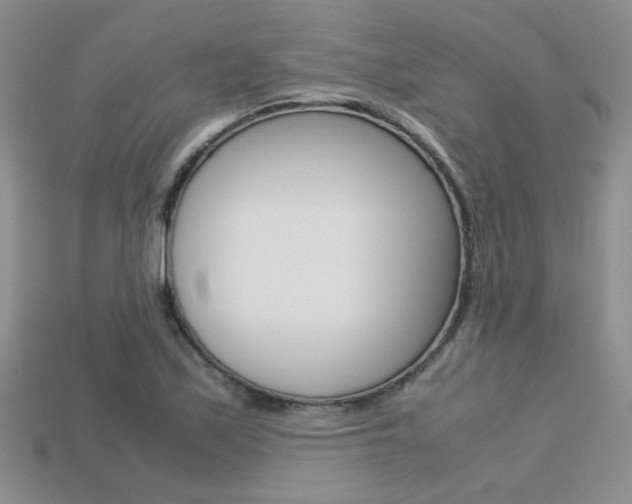 X0000113311171200909141000