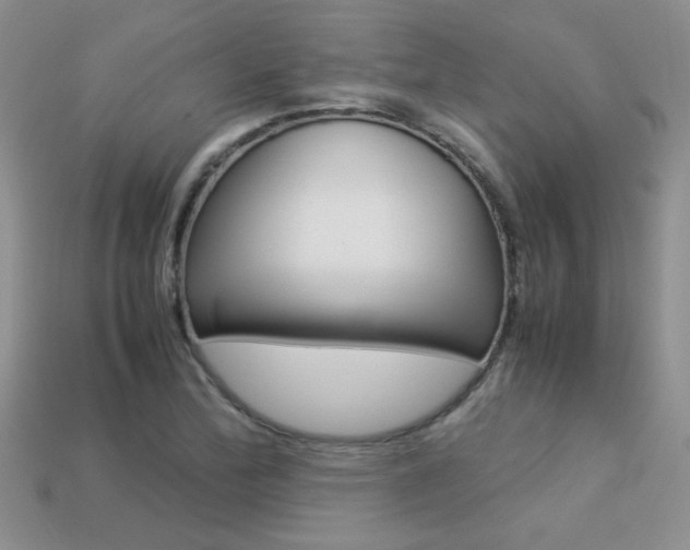 X0000113311172200909141000