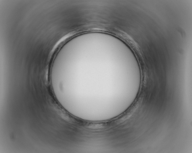 X0000113311174200909141000