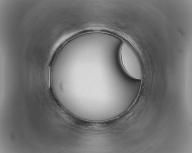 X0000113311175200909141000