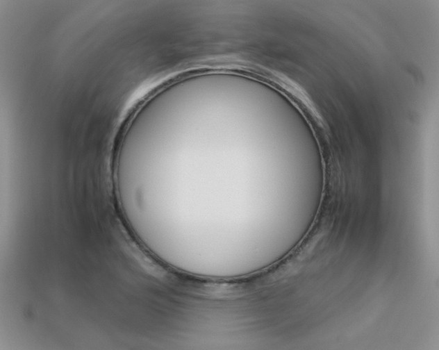 X0000113311176200909141000