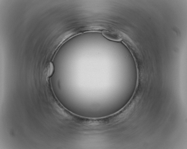 X0000113311177200909141000