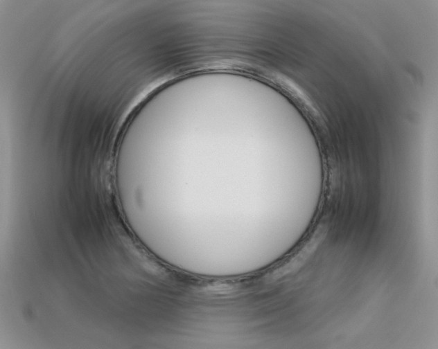 X0000113311178200909141000