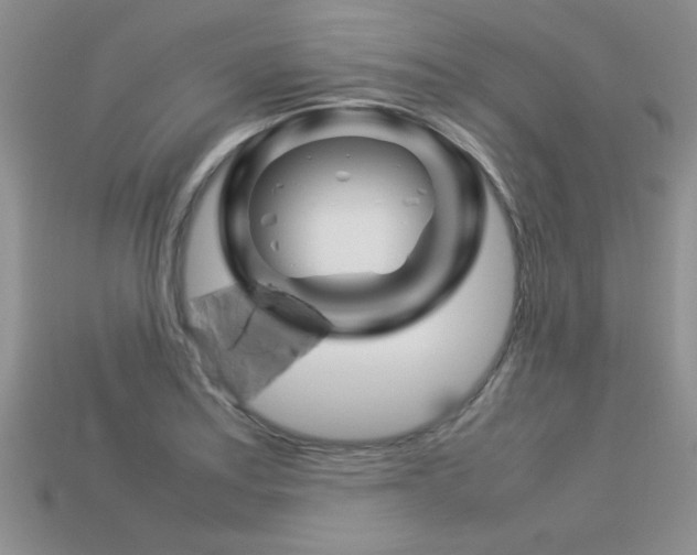 X0000113311179200909141000