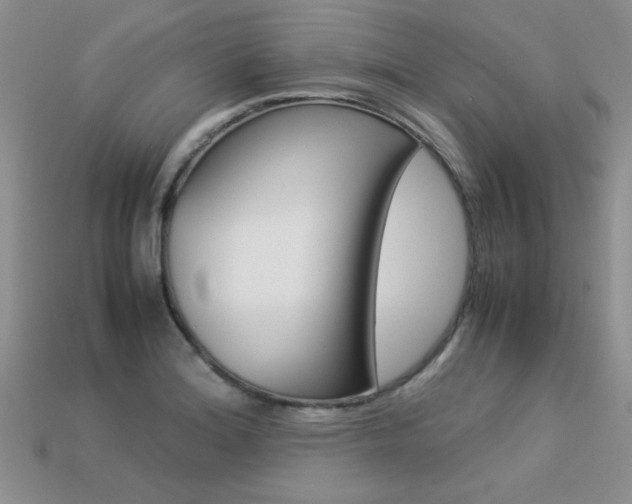 X0000113311180200909141000