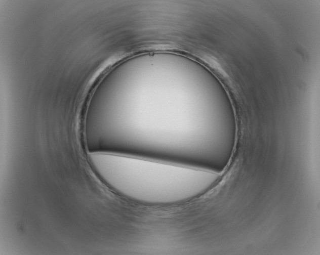 X0000113311181200909141000
