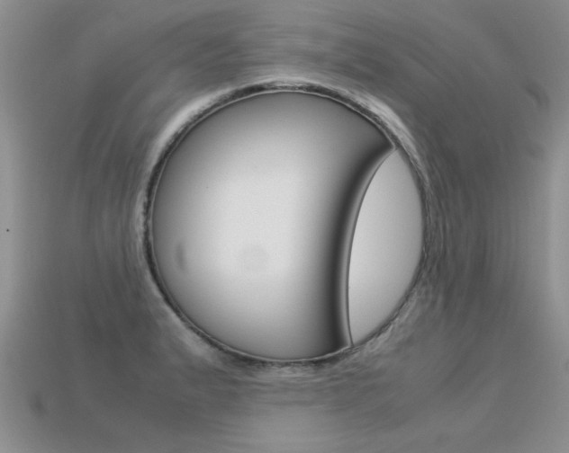 X0000113311183200909141000