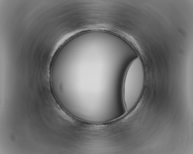 X0000113311184200909141000