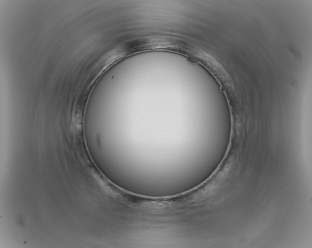 X0000113311185200909141000