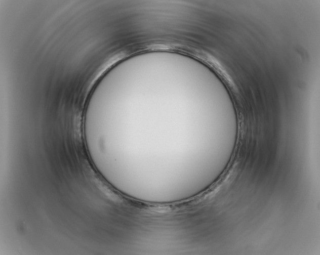 X0000113311186200909141000