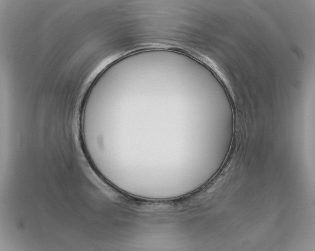 X0000113311187200909141000