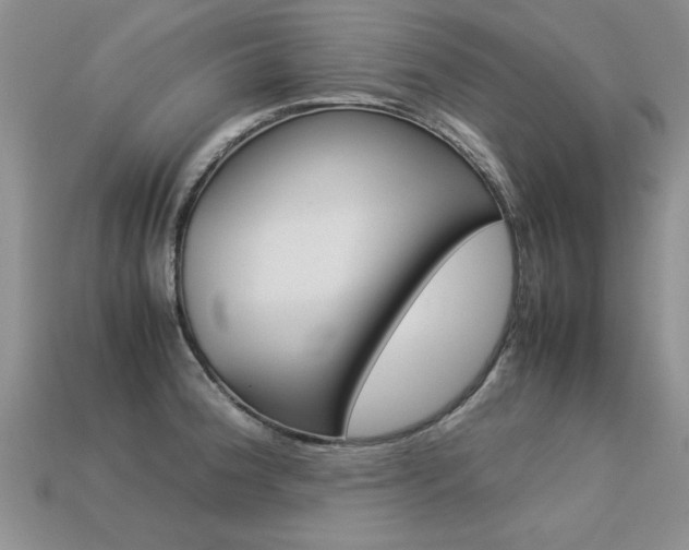 X0000113311188200909141000