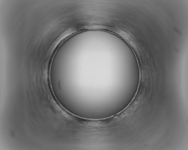 X0000113311189200909141000