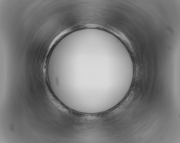 X0000113311190200909141000