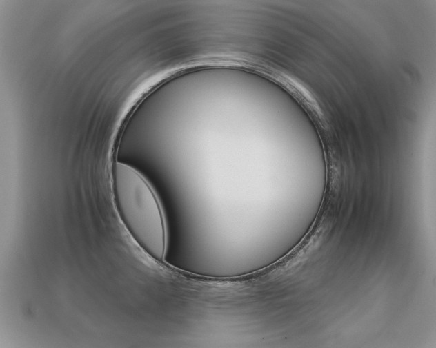 X0000113311192200909141000