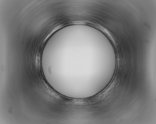 X0000113311194200909141000