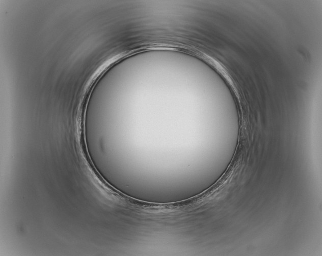 X0000113311195200909141000