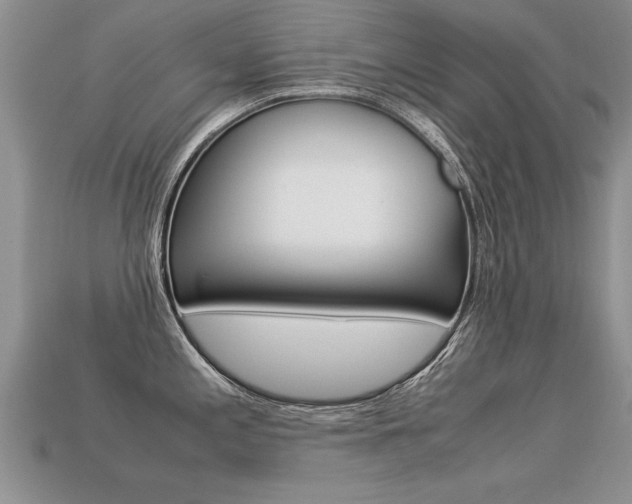 X0000113311197200909141000