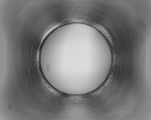 X0000113311198200909141000