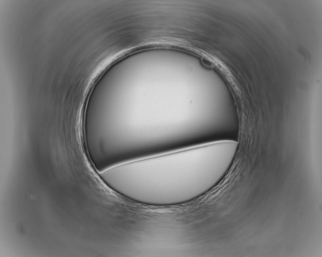 X0000113311199200909141000