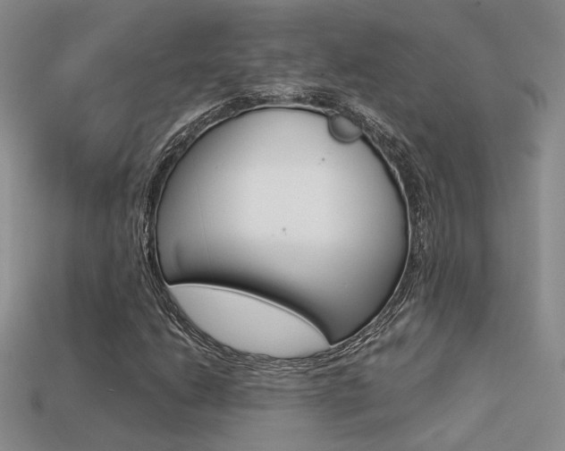 X0000113311206200909140959