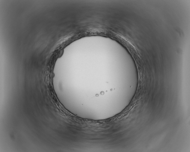 X0000113311207200909140959