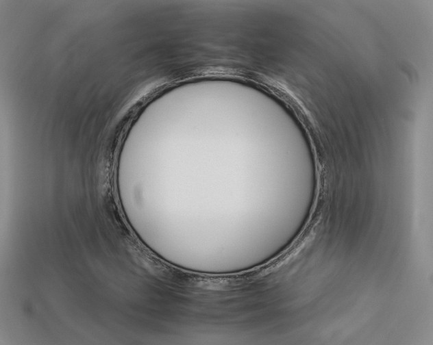 X0000113311211200909140959