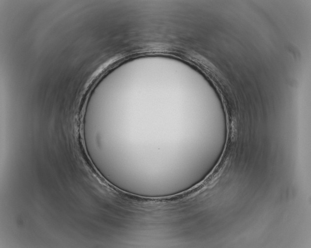 X0000113311212200909140959