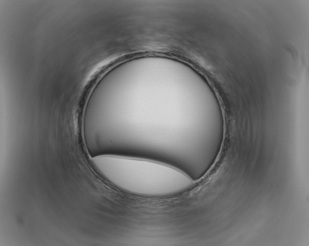 X0000113311214200909140959