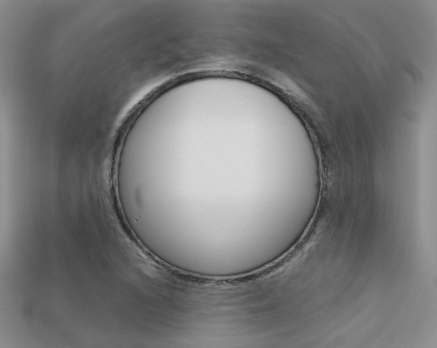 X0000113311216200909140959
