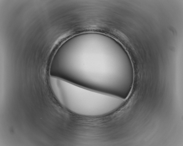 X0000113311218200909140959