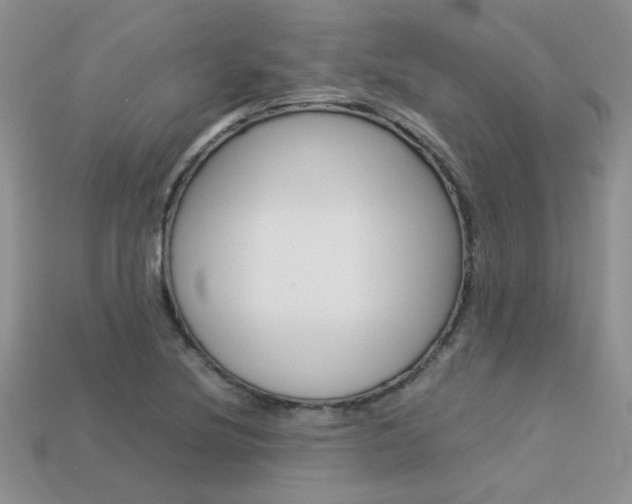 X0000113311220200909140959