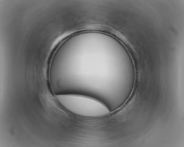 X0000113311222200909140959