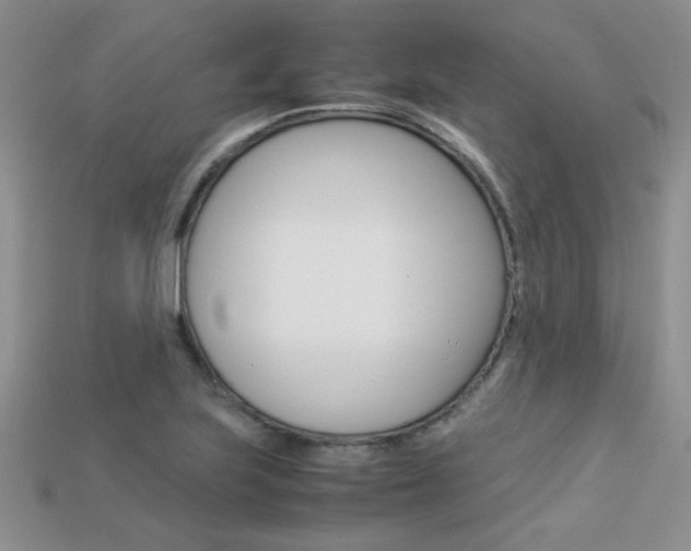 X0000113311223200909140959
