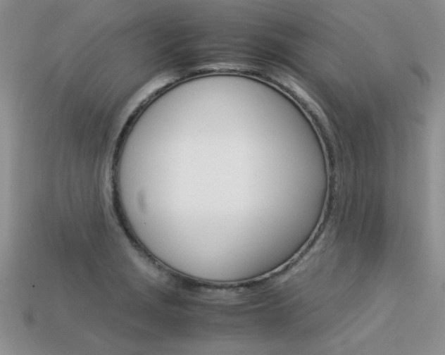 X0000113311229200909140959