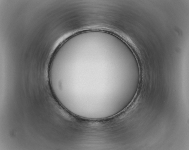 X0000113311230200909140959