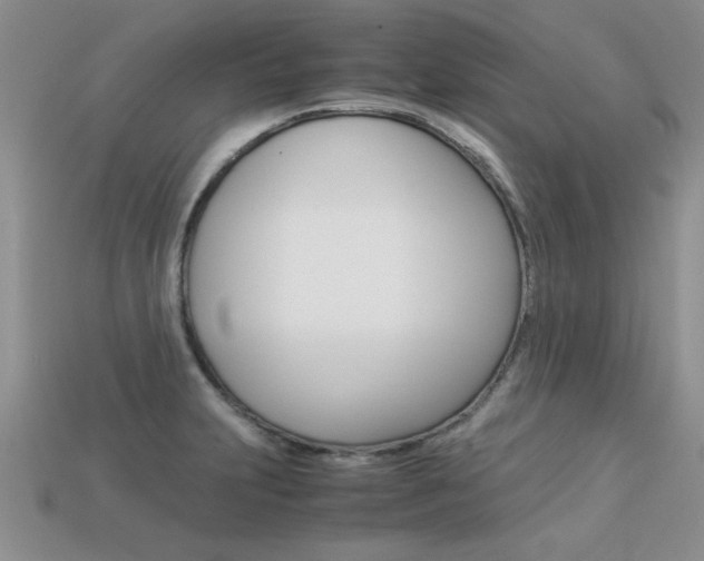 X0000113311231200909140959