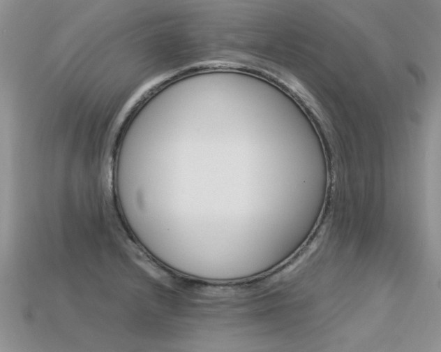 X0000113311232200909140959