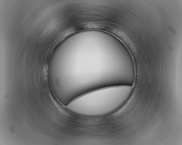 X0000113311233200909140959