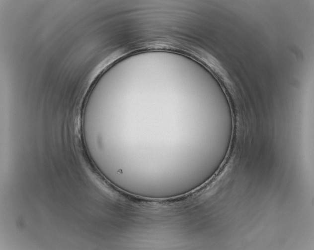 X0000113311234200909140959